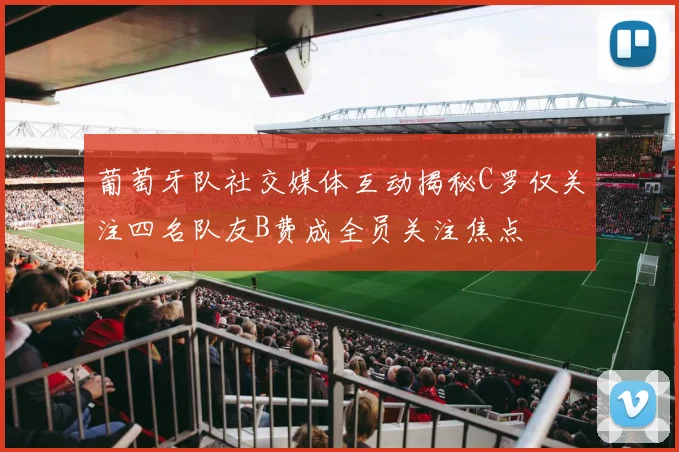 葡萄牙队社交媒体互动揭秘C罗仅关注四名队友B费成全员关注焦点