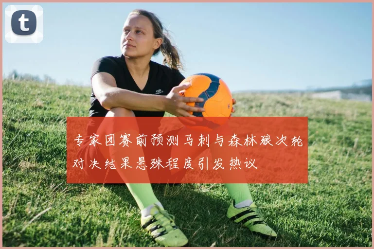 专家团赛前预测马刺与森林狼次轮对决结果悬殊程度引发热议